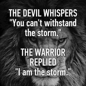 Meet your Posher, Teri